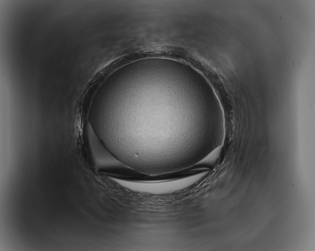 X0000093111206200710101015