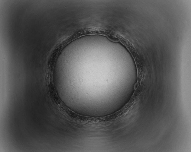 X0000093111207200710101015