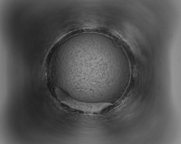 X0000093111208200710101015