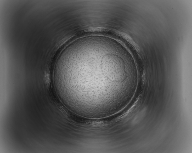 X0000093111209200710101015