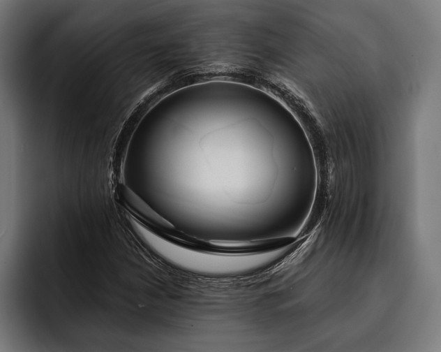 X0000093111210200710101015