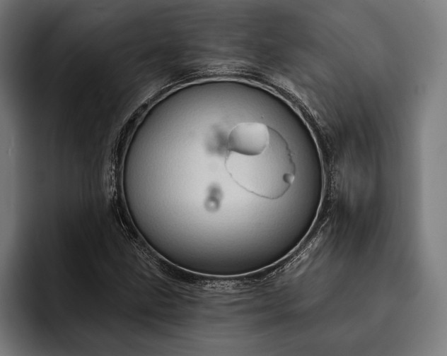 X0000093111211200710101015