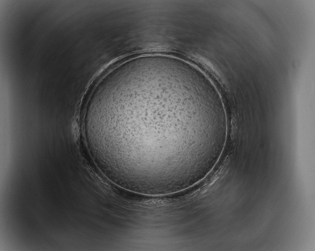 X0000093111212200710101015