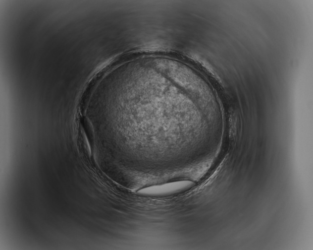 X0000093111213200710101015