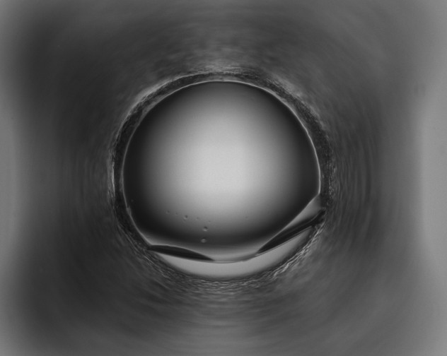 X0000093111214200710101015