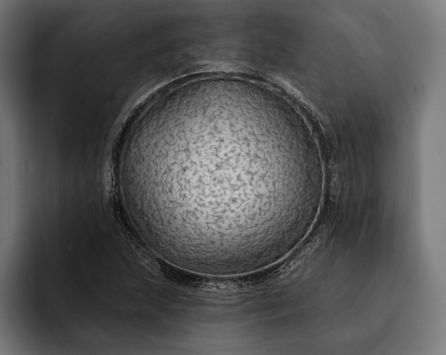 X0000093111215200710101015