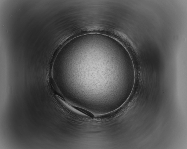 X0000093111217200710101016