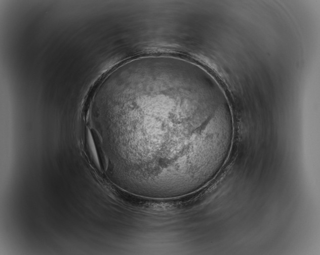 X0000093111219200710101016