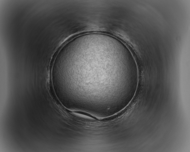 X0000093111220200710101016