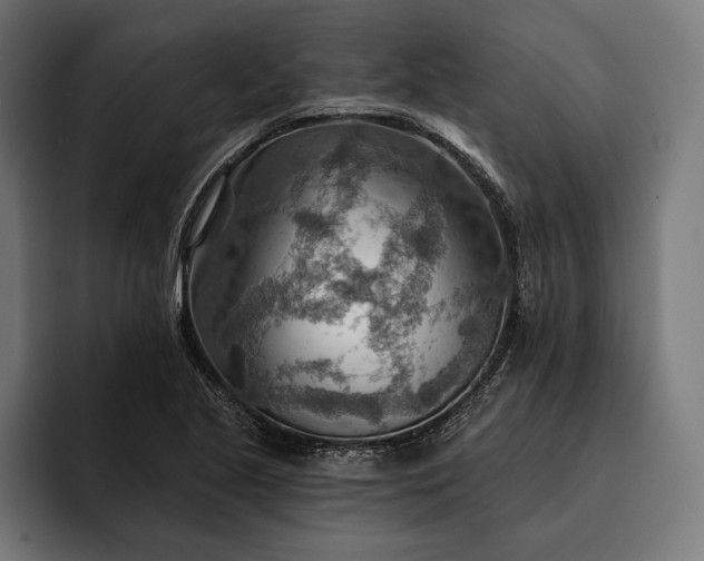 X0000093111221200710101016