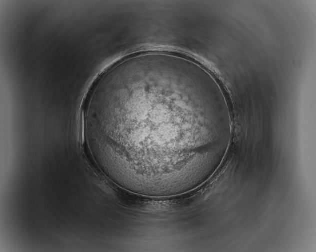 X0000093111223200710101016