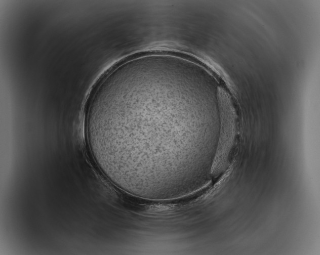 X0000093111224200710101016