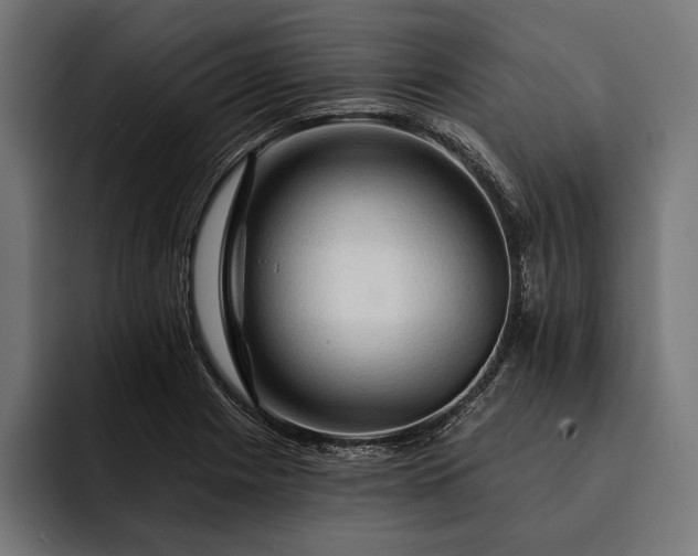 X0000093111225200710101016