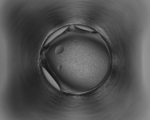 X0000093111226200710101016