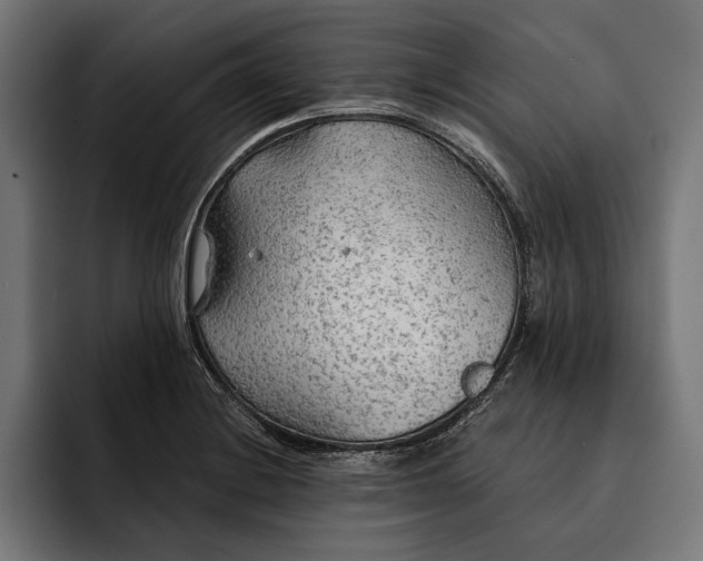 X0000093111228200710101016