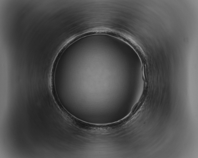 X0000093111229200710101016