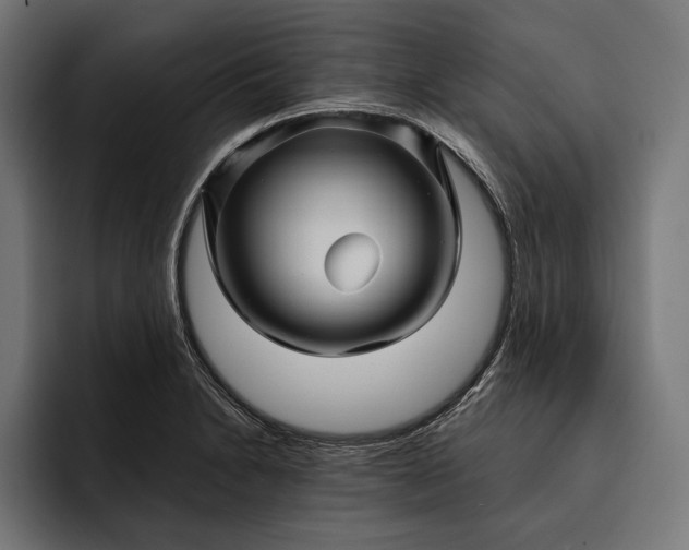 X0000093111230200710101016