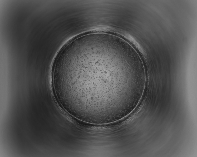 X0000093111232200710101016