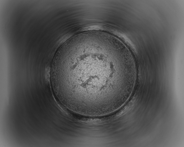 X0000093111233200710101016