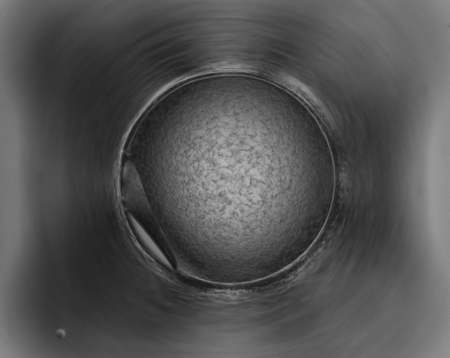 X0000093111236200710101016