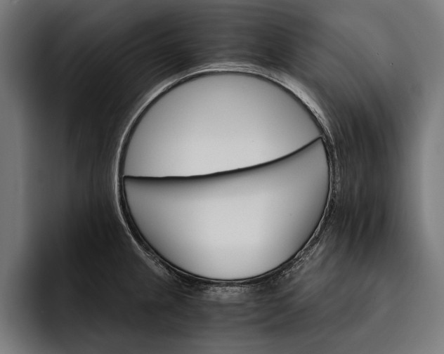 X0000093111237200710101016