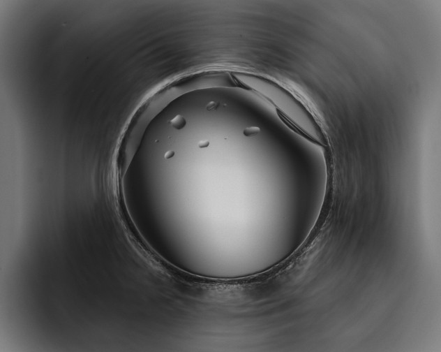 X0000093111238200710101016