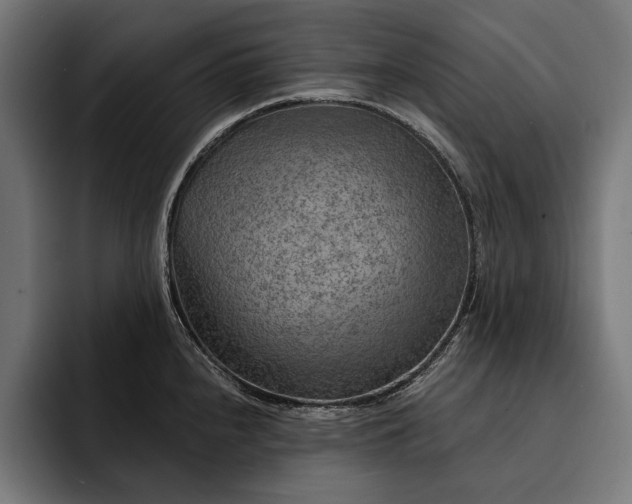 X0000093111240200710101016