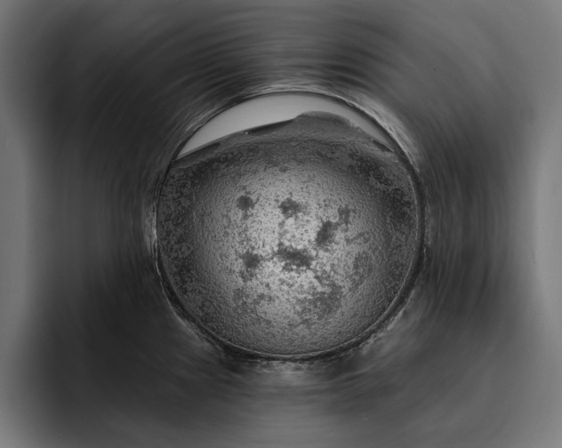 X0000093111241200710101016