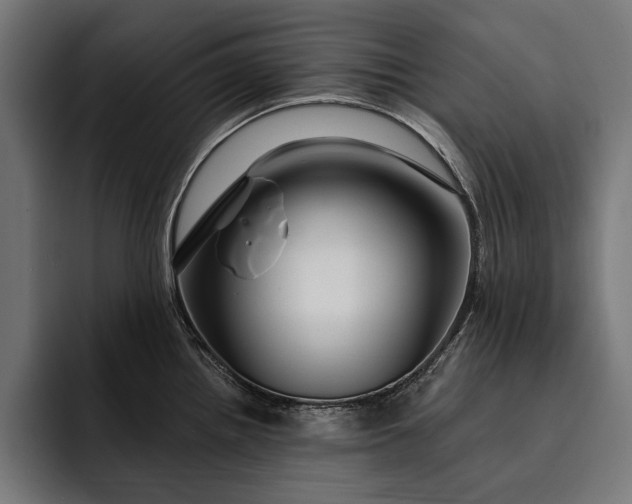 X0000093111242200710101016