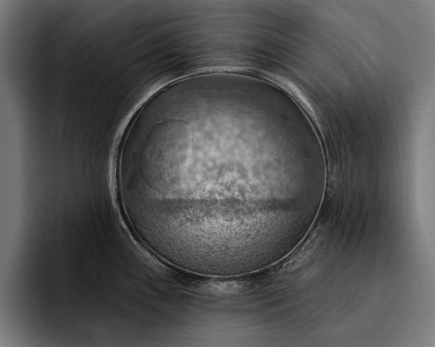 X0000093111243200710101016