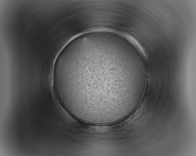 X0000093111244200710101016