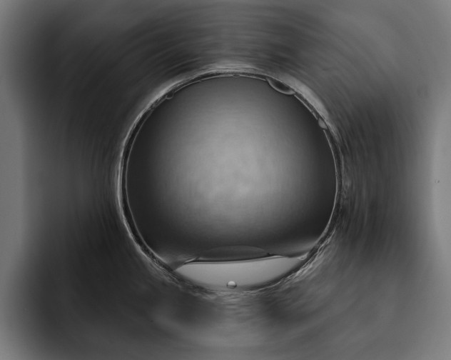 X0000093111245200710101016