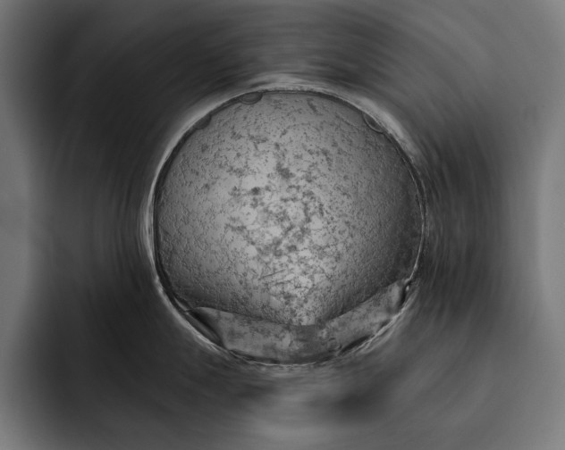 X0000093111247200710101016