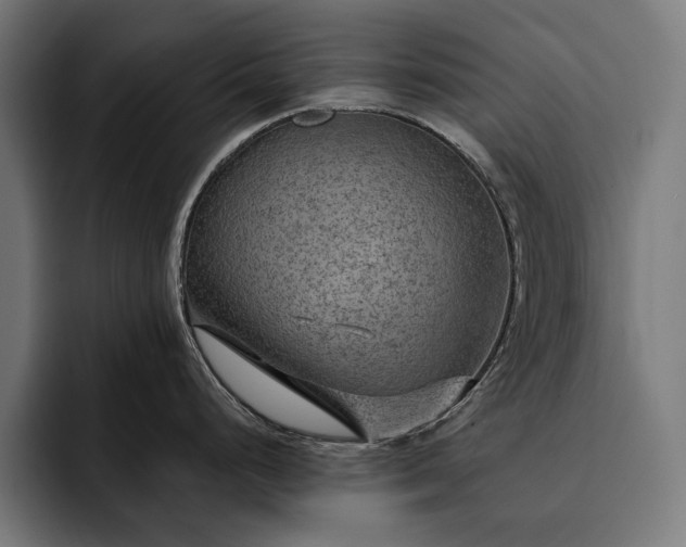 X0000093111248200710101016