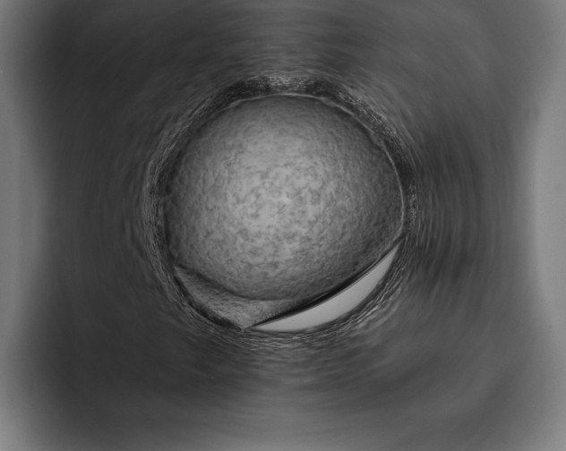 X0000093111249200710101015