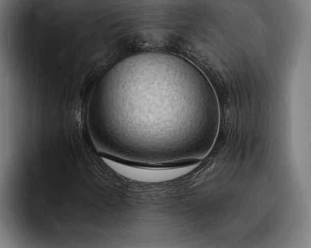 X0000093111250200710101015