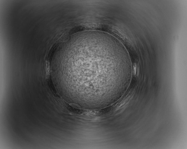 X0000093111251200710101015