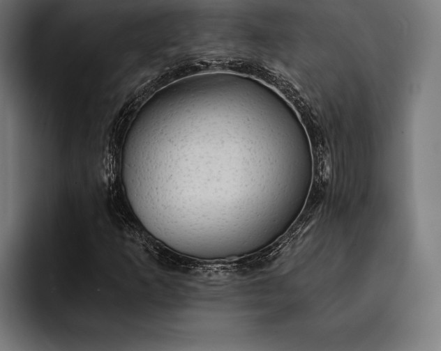 X0000093111253200710101015