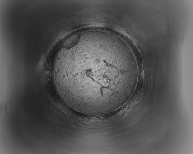 X0000093111255200710101015