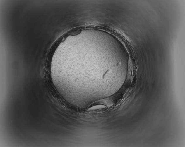 X0000093111256200710101015