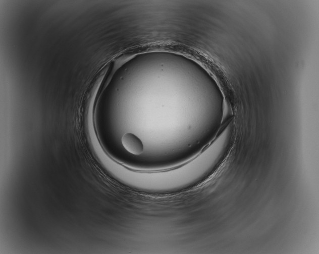 X0000093111257200710101015