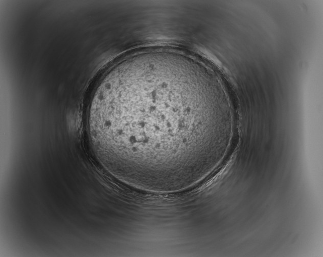 X0000093111259200710101015