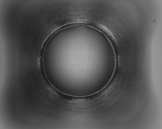 X0000093111260200710101015