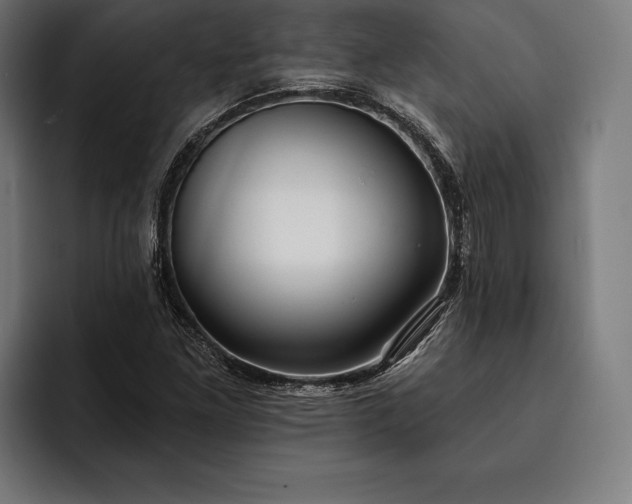 X0000093111261200710101015