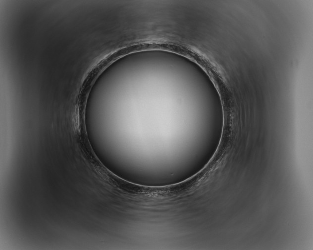 X0000093111262200710101015