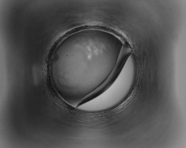 X0000093111263200710101015