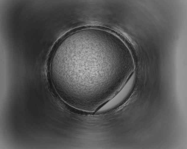 X0000093111264200710101015