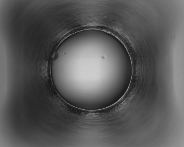 X0000093111265200710101015