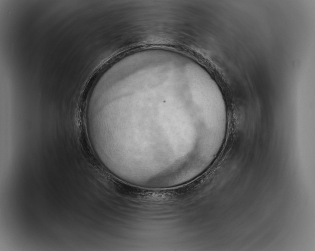 X0000093111266200710101015