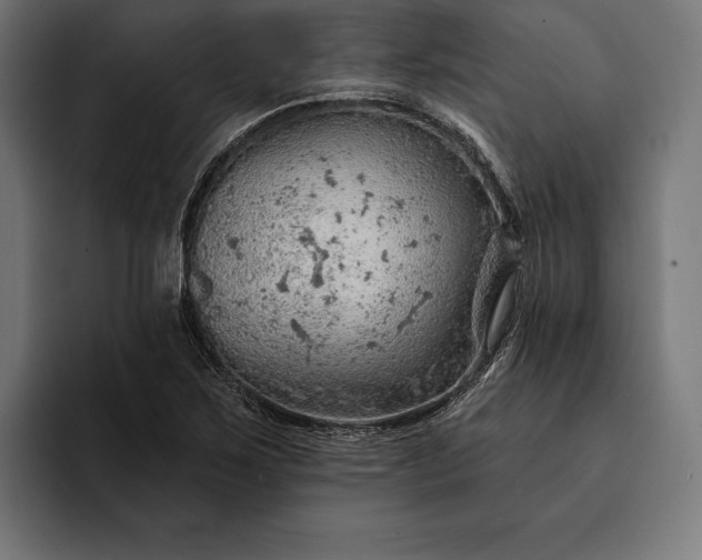 X0000093111267200710101015